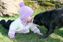 img_4547-lr.jpg