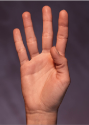 picture-4